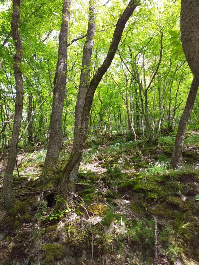 EifelverWeiler Weiler  Eksteriør bilde