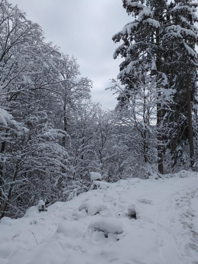 EifelverWeiler Weiler  Eksteriør bilde